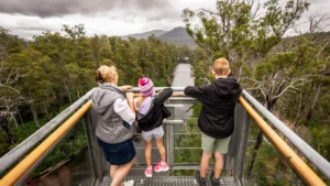 Airwalk - Cantilever - family