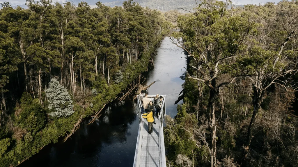 Contact Tahune Airwalk