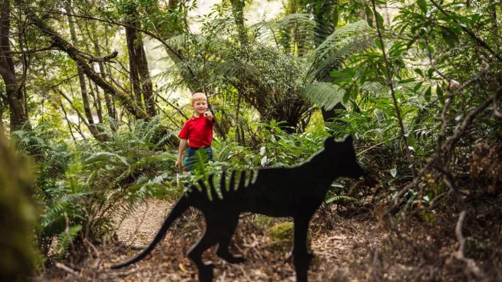 Huon-Pine-animal-hunt