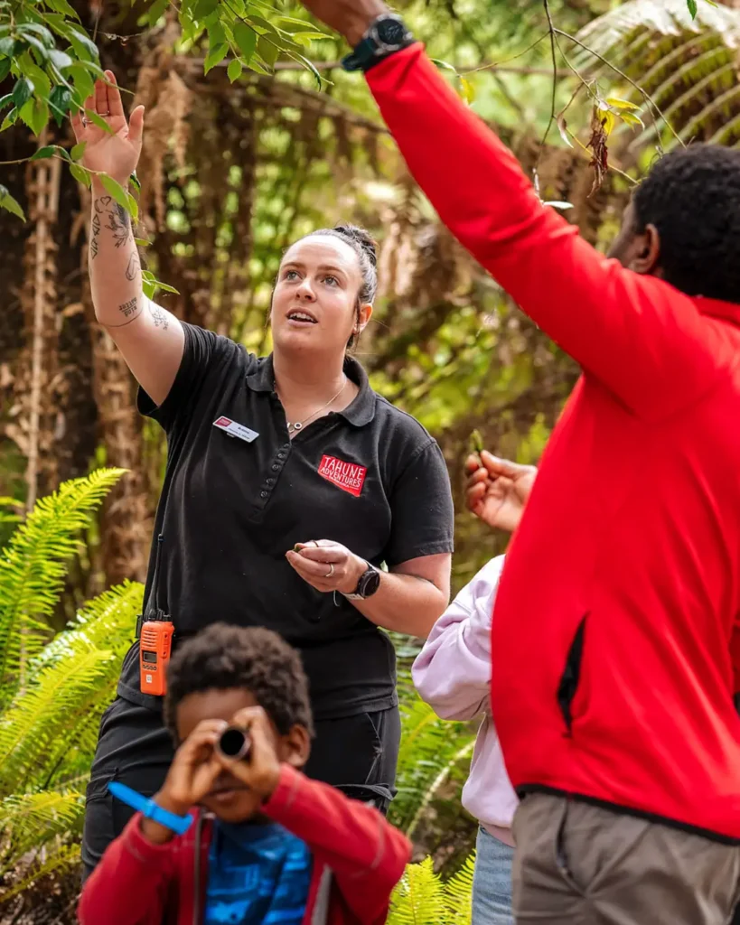 Huon-Pine-tour-guide