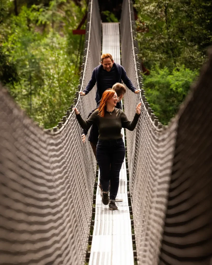 Swinging-Bridges-family-jump