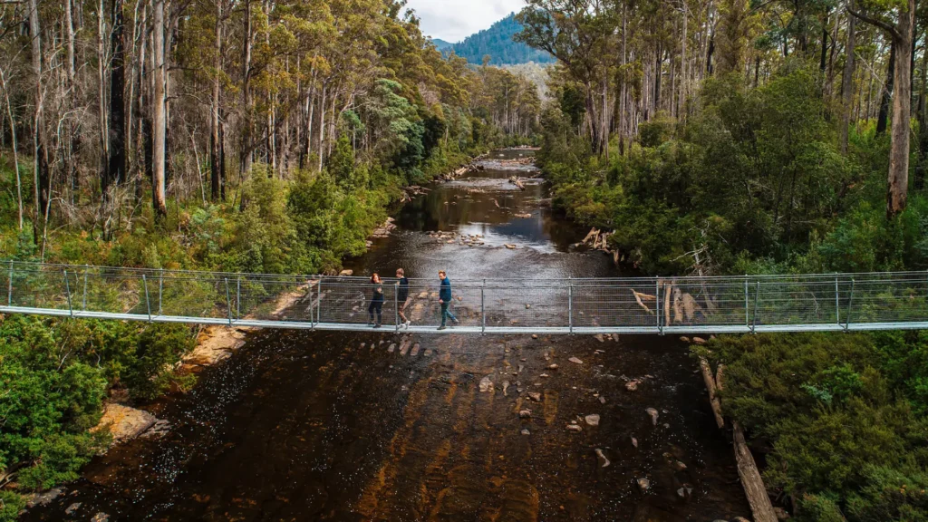Swinging-Bridges-river
