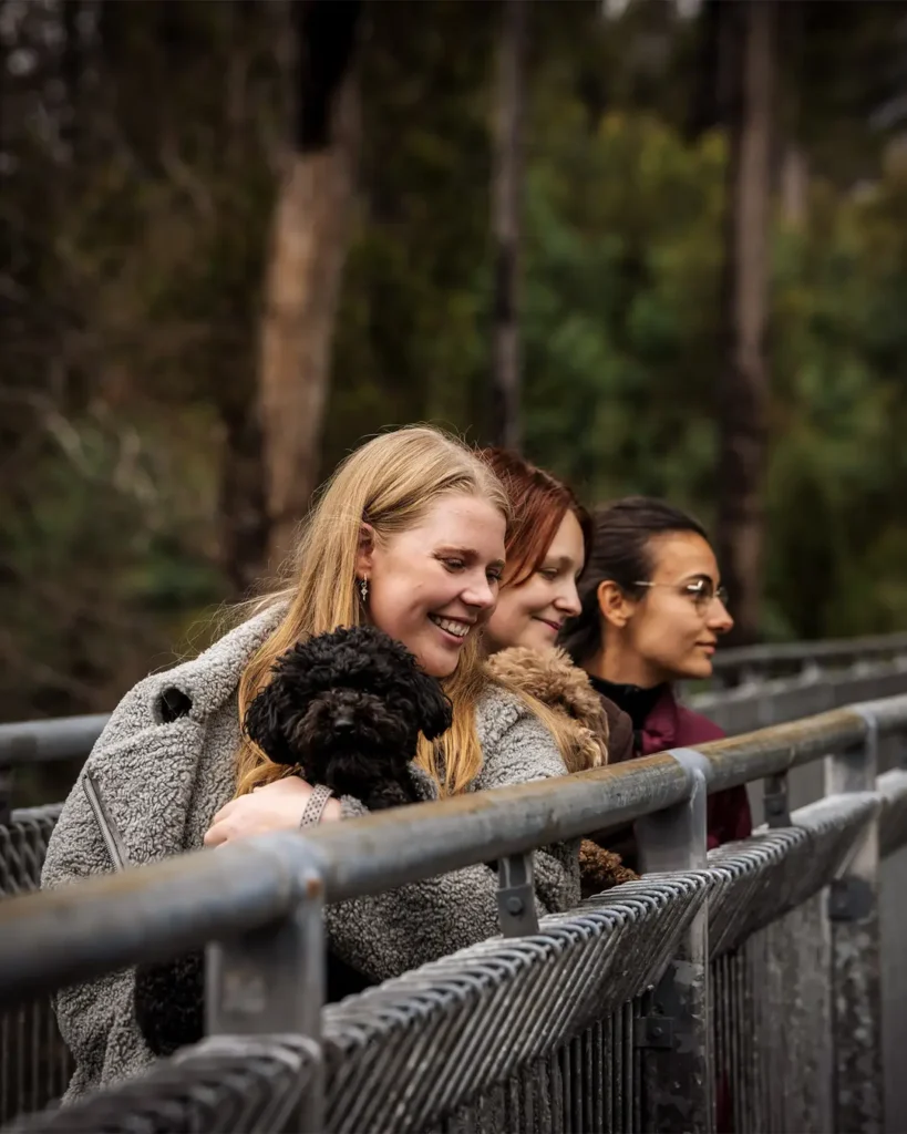 Tahune Airwalk Tasmania
