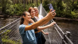 Tahune Airwalk Tasmania for Families Fun Safety and Nature Combined